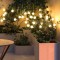 Firefly Outdoor Solar Lights | 8 LED | with Flash Mode | Starburst Swaying Solar Garden Light, Warm Garden Light | Outdoor Decoration | Waterproof | Firefly Path Lights for Pots, Balcony Garden